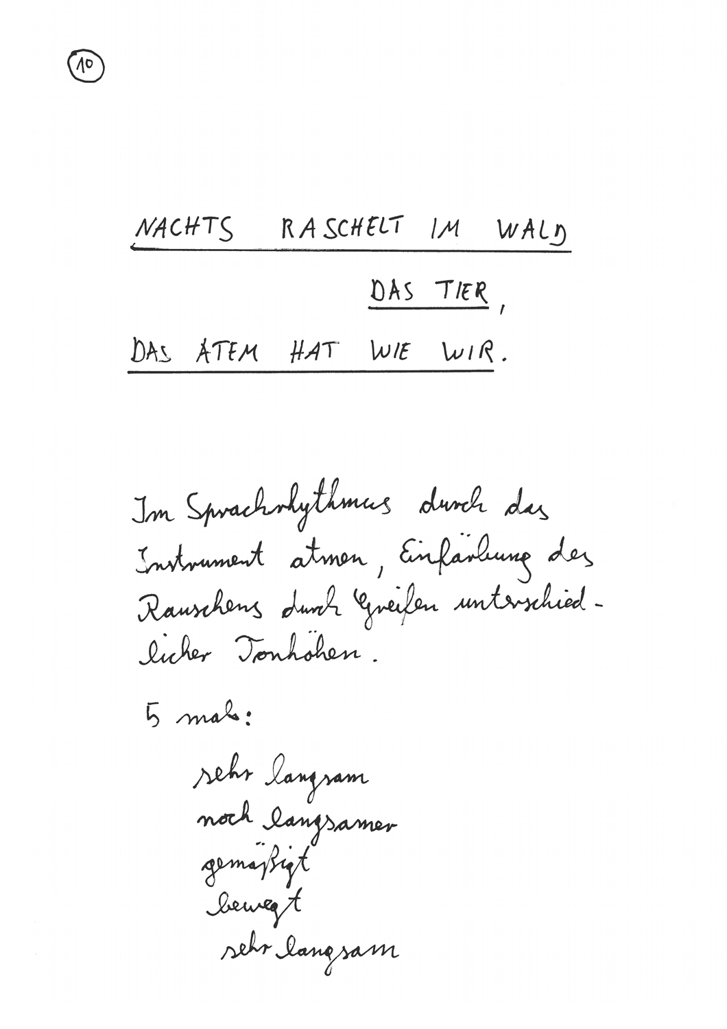 WALSERWALD 10